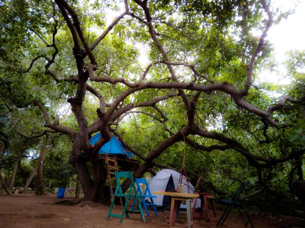 Peace Garden Auroville Exterior foto